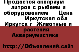 Продается аквариум.160 литров с рыбами и оборудованием . › Цена ­ 5 000 - Иркутская обл., Иркутск г. Животные и растения » Аквариумистика   